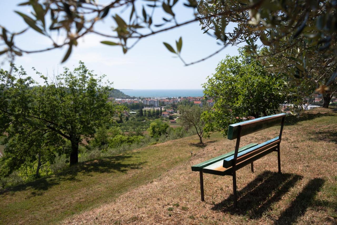 Istrian Casa Ladonia By Locap Group Βίλα Πορτορόζ Εξωτερικό φωτογραφία