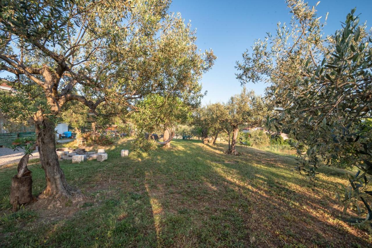 Istrian Casa Ladonia By Locap Group Βίλα Πορτορόζ Εξωτερικό φωτογραφία